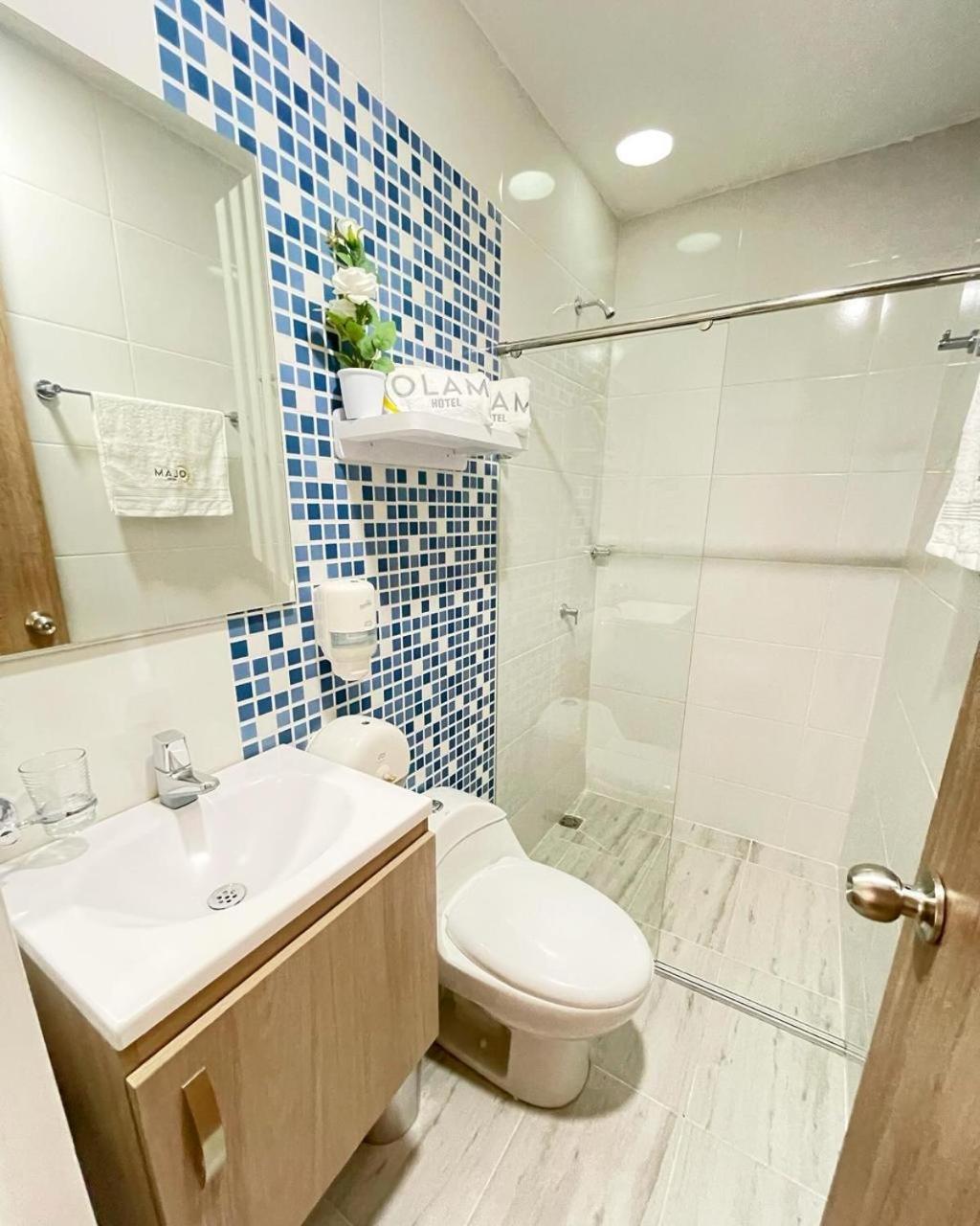 Hotel Olam Deluxe ואיידופאר מראה חיצוני תמונה